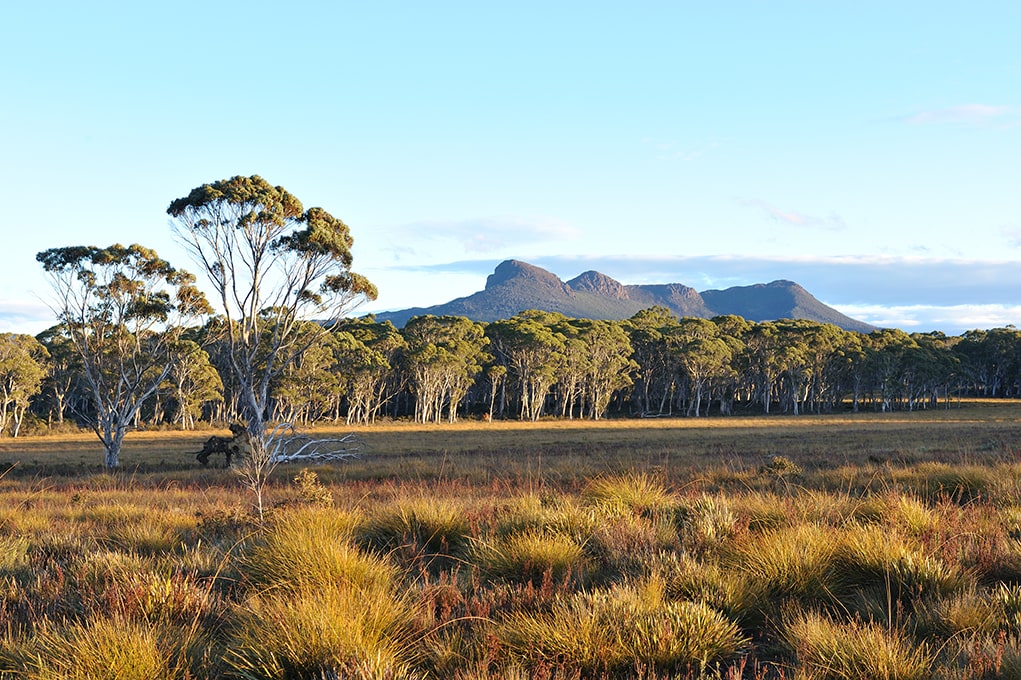 Gariwerd Restoration Project