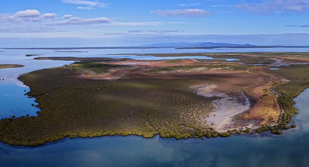 Little Dog Island Conservation Project