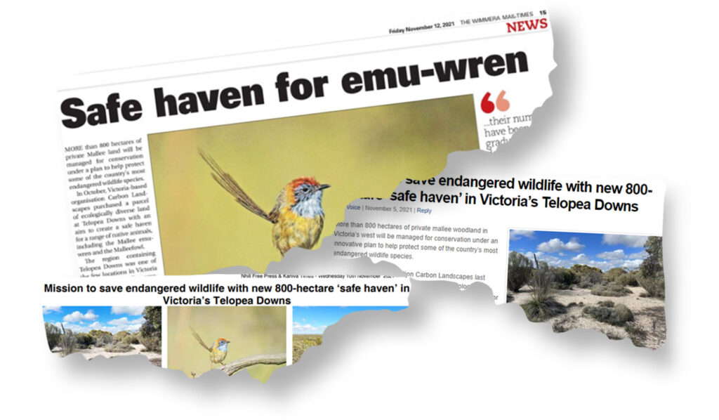 Tear-outs of newspaper articles about Carbon Landscapes’ Telopea Downs project  