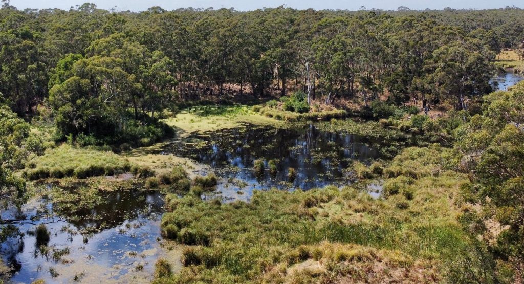 Stony Rises Rewilding Project
