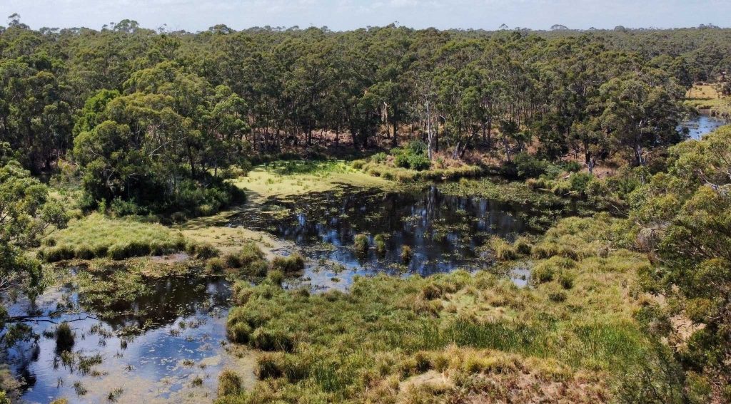 An aerial shot of a wetland and forest landscape